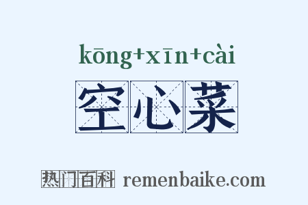 空心菜是什么意思的图片